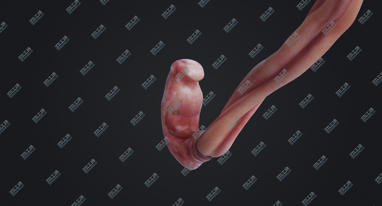 images/goods_img/20210115/Realistic Female Arm 3D model/4.jpg